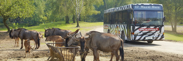 Safaripark Beekse Bergen